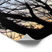 Zonsondergang achter de bomen poster (Hoek)