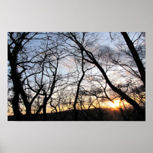 Zonsondergang achter de bomen poster
