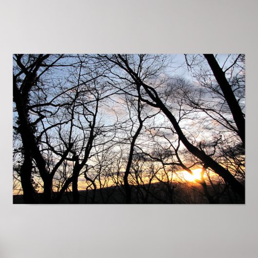 Zonsondergang achter de bomen poster (Voorkant)