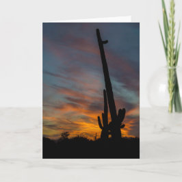 Zonsondergang Arizona Wenskaart Saguaros Vrienden Kaart