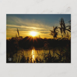 Zonsondergang bij een meertje met rietpluimen. briefkaart
