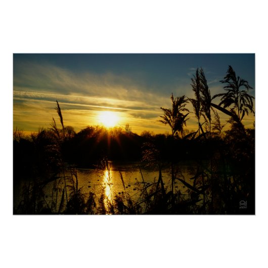 Zonsondergang bij een meertje met rietpluimen. perfect poster (Voorkant)