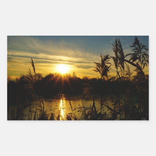 Zonsondergang bij een meertje met rietpluimen. rechthoekige sticker (Voorkant)