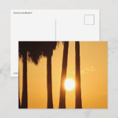 Zonsondergang bij het Beach II Briefkaart (Voorkant / Achterkant)