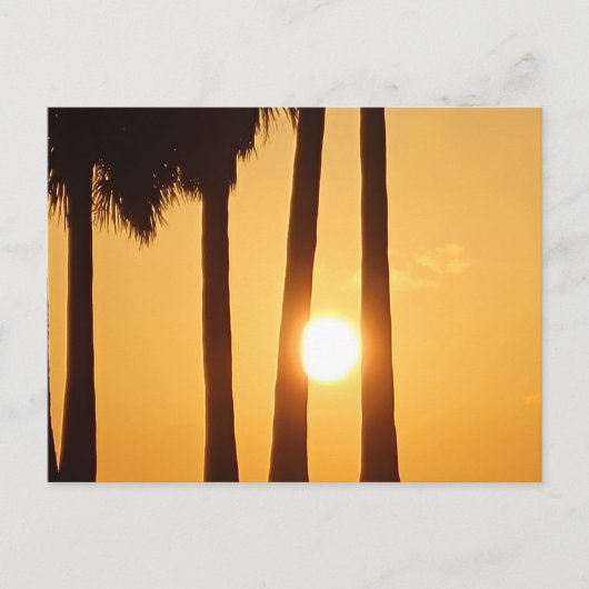 Zonsondergang bij het Beach II Briefkaart (Voorkant)