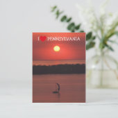 Zonsondergang bij Presque Isle-prentbriefkaart Briefkaart (Staand voorkant)