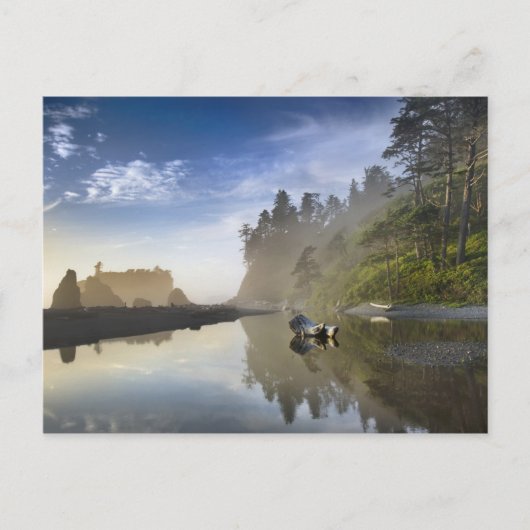 Zonsondergang bij Ruby Beach, Olympic National Par Briefkaart (Voorkant)
