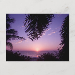 Zonsondergang bij West End, Cayman Brac, Kaaimanei Briefkaart