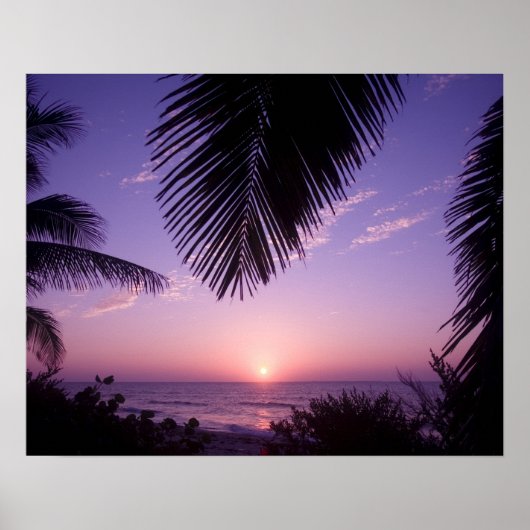 Zonsondergang bij West End, Cayman Brac, Kaaimanei Poster (Voorkant)