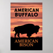 Zonsondergang Bizon Silhouet Poster (Voorkant)