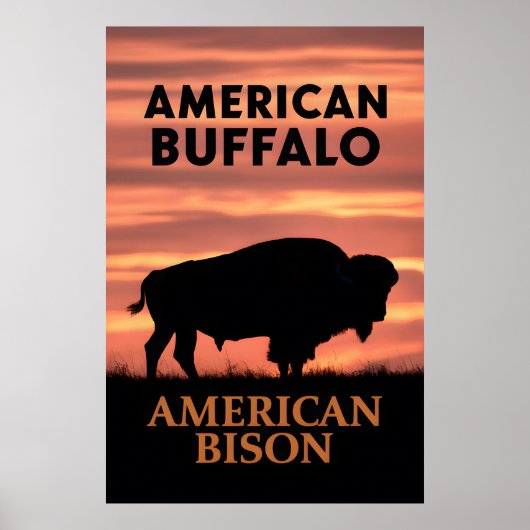 Zonsondergang Bizon Silhouet Poster (Voorkant)