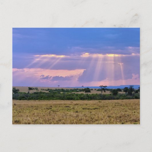 Zonsondergang boven de Masai Mara. Briefkaart (Voorkant)