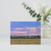 Zonsondergang boven de Masai Mara. Briefkaart (Staand voorkant)
