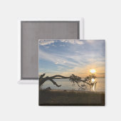 Zonsondergang boven East Bay Magneet (Voorkant / Achterkant)