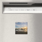 Zonsondergang boven East Bay Magneet (Insitu (Vaatwasser))