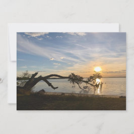 Zonsondergang boven East Bay Notitiekaartje