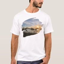 Zonsondergang boven East Bay