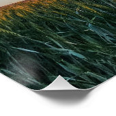 Zonsondergang boven een veld perfect poster (Hoek)