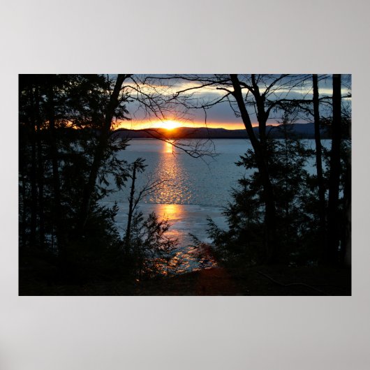 Zonsondergang boven Forest Lake Poster (Voorkant)