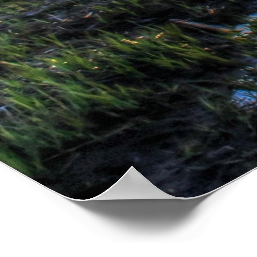 Zonsondergang boven Lake Superior Poster (Hoek)