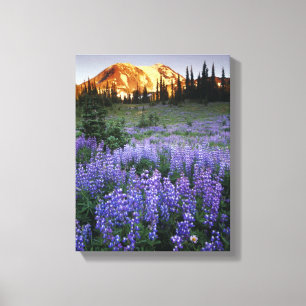 Zonsondergang boven Mt. Adams en een sub-alpine we Canvas Afdruk