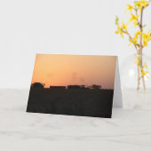 Zonsondergang Combinatie en Tractor Kaart (Gele Bloem)