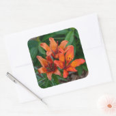 Zonsondergang Daglelie - Warme Bloemblad Gloed Vierkante Sticker (Envelop)