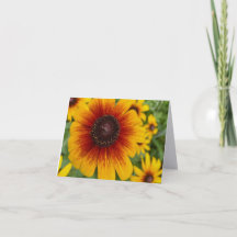 Zonsondergang Daisy Vouwbare Notitiekaart