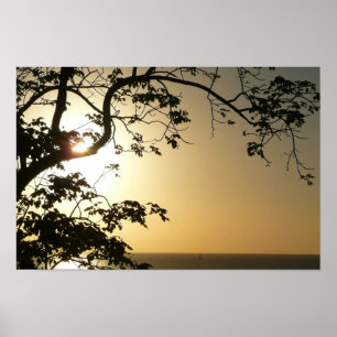 Zonsondergang door bomen II Tropische fotografie Poster