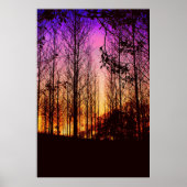 zonsondergang door bomen kleur veranderd poster (Voorkant)