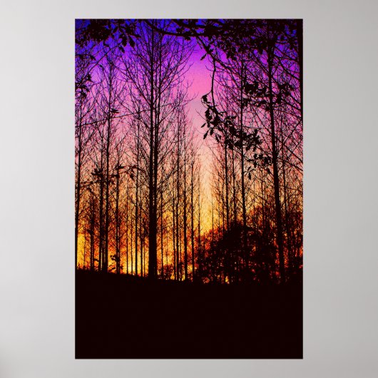 zonsondergang door bomen kleur veranderd poster (Voorkant)