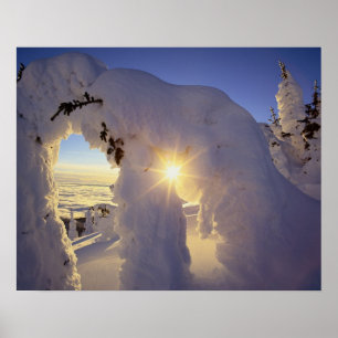Zonsondergang door de Snowghosts bij Big Mountain  Poster