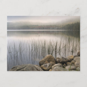 Zonsondergang door mist over Upper Hadlock Pond Briefkaart