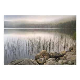 Zonsondergang door mist over Upper Hadlock Pond Foto Afdruk