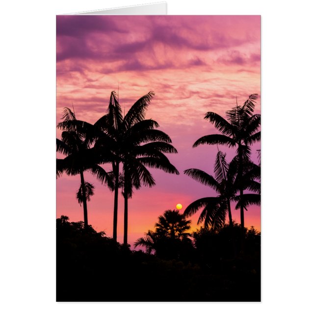 Zonsondergang door palmbomen (Voorkant)