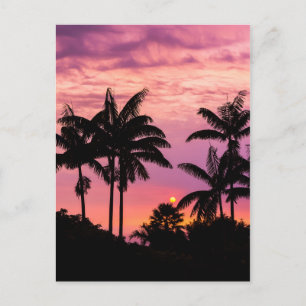 Zonsondergang door palmbomen briefkaart