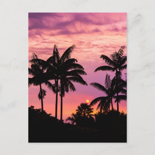 Zonsondergang door palmbomen briefkaart (Voorkant)