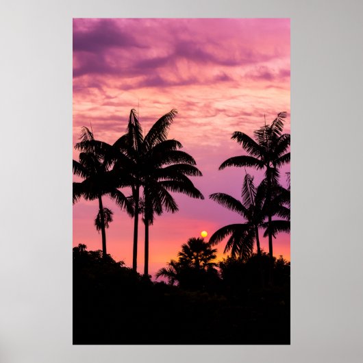 Zonsondergang door palmbomen poster (Voorkant)