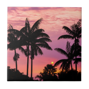 Zonsondergang door palmbomen tegeltje
