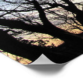 Zonsondergang door takken poster (Hoek)