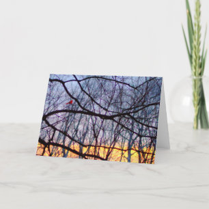 Zonsondergang & een Rood Hoofd Leeg Wenskaart Kaart