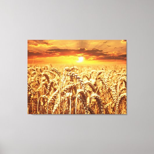 Zonsondergang en tarweveld canvas afdruk (Voorkant)