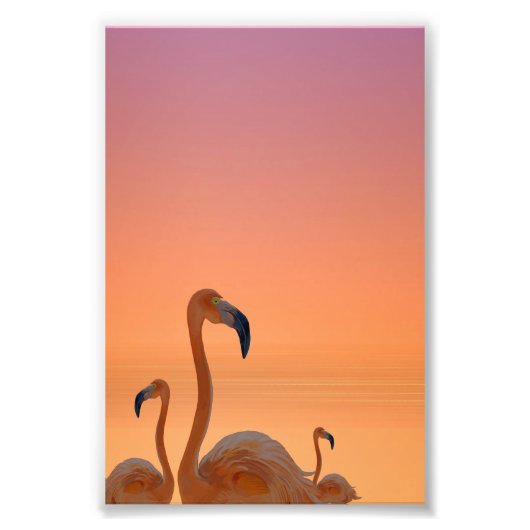 Zonsondergang Flamingo Tropische Poster (Voorkant)