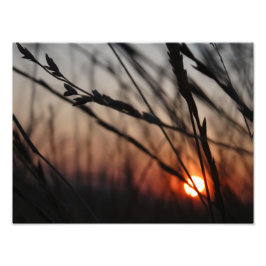 Zonsondergang Foto Kodak Professional Foto Afdruk