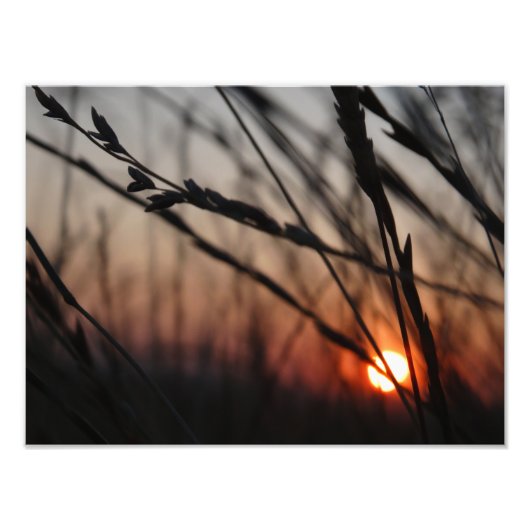 Zonsondergang Foto Kodak Professional Foto Afdruk (Voorkant)