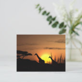 "Zonsondergang Giraffe Silhouet" Ansichtkaart Briefkaart (Staand voorkant)