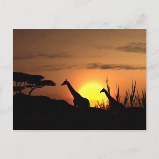 "Zonsondergang Giraffe Silhouet" Ansichtkaart Briefkaart (Voorkant)