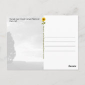 Zonsondergang Grand Canyon, AZ - ansichtkaart Briefkaart (Achterkant)