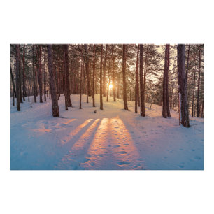 Zonsondergang in besneeuwd winter dennenbos foto afdruk