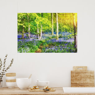 Zonsondergang in blauwe bos poster